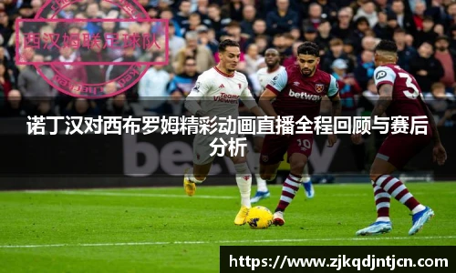 诺丁汉对西布罗姆精彩动画直播全程回顾与赛后分析